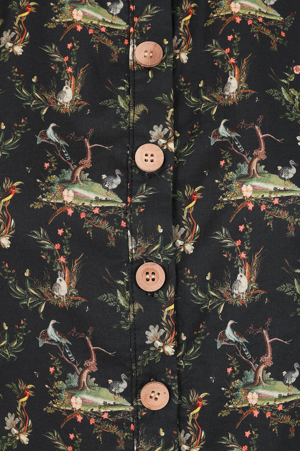 Banned Retro Star Nature Blouse